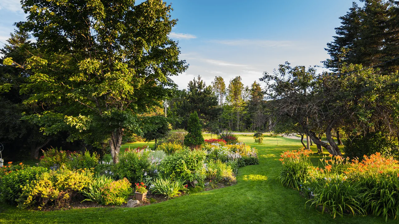 Entretien de jardin et taille de haies à Agde par LC Paysages