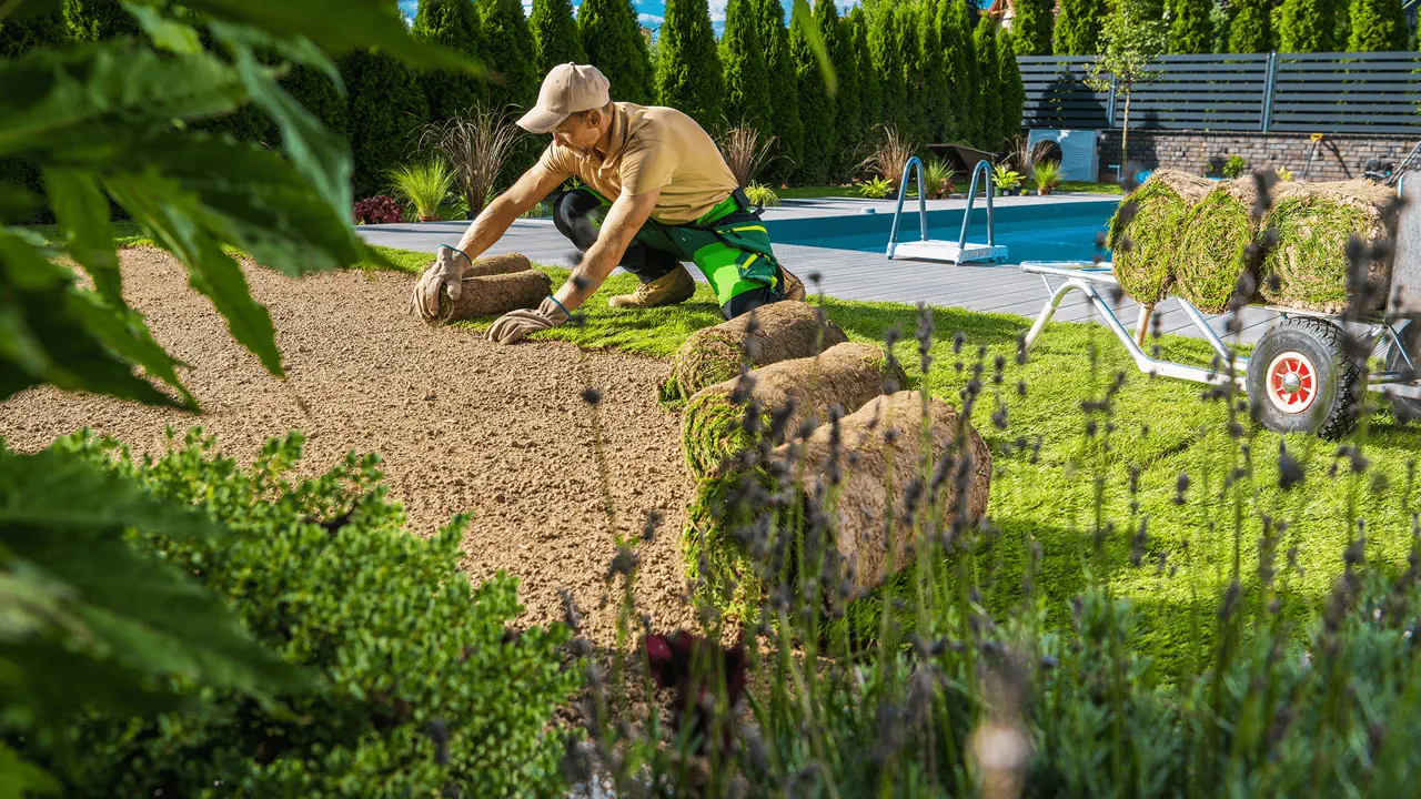 Création de jardin et pose de gazon à Agde par LC Paysages